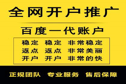 SEM竞价实战技巧，案例讲解与应用